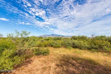 Great west side location for your future home!  Enjoy the on Tubac Golf Resort and Spa in Arizona - for sale on GolfHomes.com, golf home, golf lot