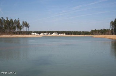 Holiday Special! Choose either a FREE golf cart or a Move-In on Carolina Colours Golf Club in North Carolina - for sale on GolfHomes.com, golf home, golf lot