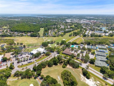 Welcome to your dream home! This spacious 3-bedroom, 2 on East Lake Woodlands Country Club in Florida - for sale on GolfHomes.com, golf home, golf lot