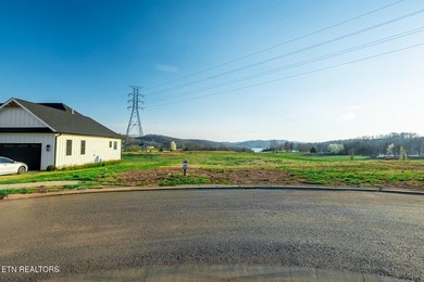 **Don't miss the video tour of the community! Copy/paste the on  in Tennessee - for sale on GolfHomes.com, golf home, golf lot