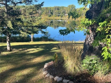 HAVE YOU BEEN DREAMING OF LIVING IN AN AREA OF OUTSTANDING on Ruttgers Bay Lake Lodge Golf Club in Minnesota - for sale on GolfHomes.com, golf home, golf lot