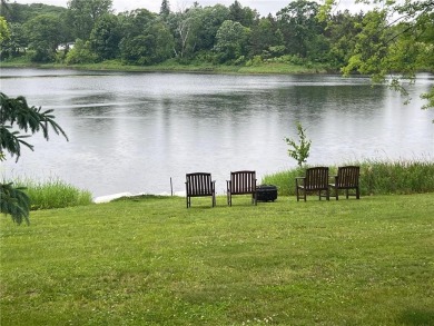 HAVE YOU BEEN DREAMING OF LIVING IN AN AREA OF OUTSTANDING on Ruttgers Bay Lake Lodge Golf Club in Minnesota - for sale on GolfHomes.com, golf home, golf lot