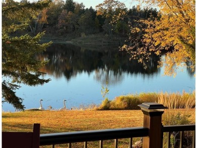 HAVE YOU BEEN DREAMING OF LIVING IN AN AREA OF OUTSTANDING on Ruttgers Bay Lake Lodge Golf Club in Minnesota - for sale on GolfHomes.com, golf home, golf lot