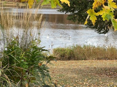HAVE YOU BEEN DREAMING OF LIVING IN AN AREA OF OUTSTANDING on Ruttgers Bay Lake Lodge Golf Club in Minnesota - for sale on GolfHomes.com, golf home, golf lot