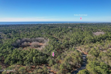 Less than 5 miles from Holden Beach Island! Stunning WATERFRONT on Lockwood Folly Country Club in North Carolina - for sale on GolfHomes.com, golf home, golf lot