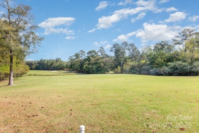 Welcome to Peaceful 730 Spyglass Way! YES, IT'S ON THE GOLF on Waterford Golf Club in South Carolina - for sale on GolfHomes.com, golf home, golf lot