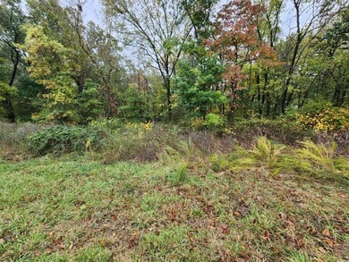 Build your dream home on this perced and surveyed .58-acre on  in Arkansas - for sale on GolfHomes.com, golf home, golf lot