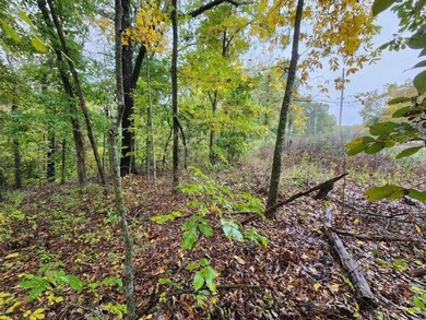 Build your dream home on this perced and surveyed .58-acre on  in Arkansas - for sale on GolfHomes.com, golf home, golf lot