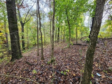 Build your dream home on this perced and surveyed .58-acre on  in Arkansas - for sale on GolfHomes.com, golf home, golf lot