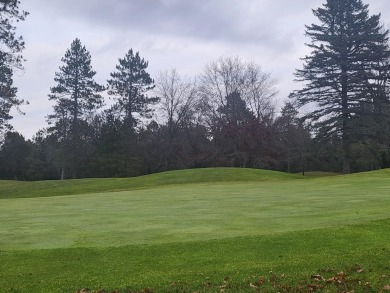 Garland Lodge & Golf Resort, located in Lewiston is on over 3 on Garland Resort and Golf Club  in Michigan - for sale on GolfHomes.com, golf home, golf lot