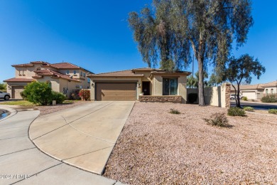 Large backyard, kitchen/family room in  Seville!!!  3 bed + on Seville Golf and Country Club in Arizona - for sale on GolfHomes.com, golf home, golf lot