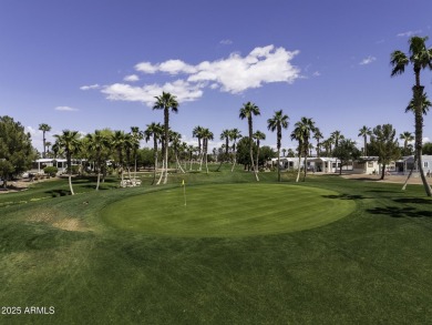 Welcome to your own private retreat in this stunning 1 bedroom on Palm Creek Golf and RV Resort in Arizona - for sale on GolfHomes.com, golf home, golf lot