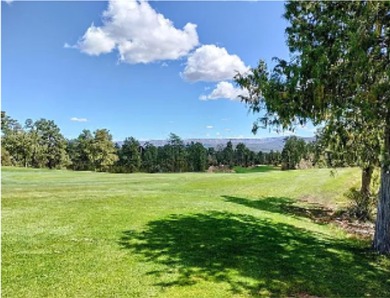 Exquisite New Construction by Dean Allen Homes in Payson's on The Rim Golf Club in Arizona - for sale on GolfHomes.com, golf home, golf lot
