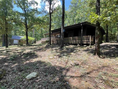 Large Corner Lot House tucked back in the woods with carport on Indian Hills Country Club in Arkansas - for sale on GolfHomes.com, golf home, golf lot
