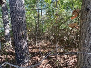 Very nice multi-use lot in a gated resort style lake community on River Golf and Country Club at Lake Royale in North Carolina - for sale on GolfHomes.com, golf home, golf lot