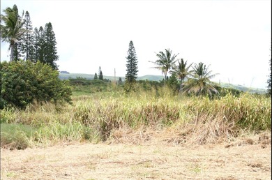 Build your island retreat on this cleared, ready- to-build lot on Discovery Harbour Golf Course in Hawaii - for sale on GolfHomes.com, golf home, golf lot