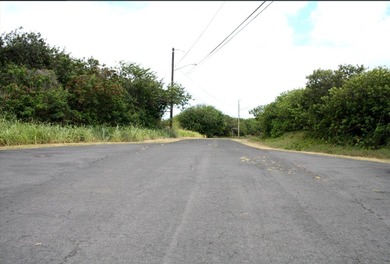 Build your island retreat on this cleared, ready- to-build lot on Discovery Harbour Golf Course in Hawaii - for sale on GolfHomes.com, golf home, golf lot