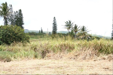 Build your island retreat on this cleared, ready- to-build lot on Discovery Harbour Golf Course in Hawaii - for sale on GolfHomes.com, golf home, golf lot