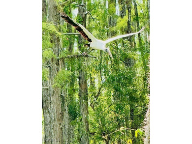 Experience the charm of this delightful home located in the on Miromar Lakes Golf Club in Florida - for sale on GolfHomes.com, golf home, golf lot