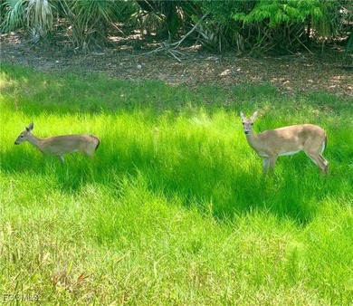 Experience the charm of this delightful home located in the on Miromar Lakes Golf Club in Florida - for sale on GolfHomes.com, golf home, golf lot