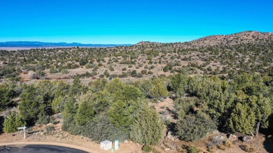 1.18 ACRES ON A GENTLY SLOPED LOT WITH MATURE VEGETATION on Talking Rock Golf Club in Arizona - for sale on GolfHomes.com, golf home, golf lot
