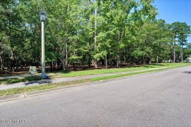 Premier Homesite in Rivers Edge Golf Community

Discover an on Rivers Edge Golf Club in North Carolina - for sale on GolfHomes.com, golf home, golf lot