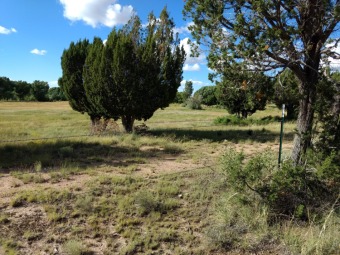 Really beautiful lot almost backing up to the Concho Spring on Concho Valley Country Club in Arizona - for sale on GolfHomes.com, golf home, golf lot