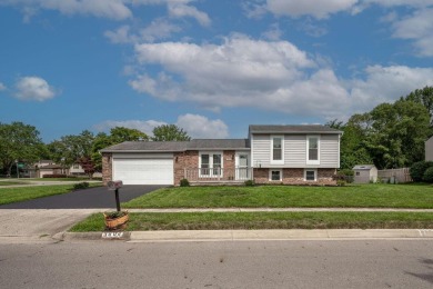Hilliard City Schools--Columbus taxes! NO HOA!  This meticulous on Raymond Memorial Golf Course in Ohio - for sale on GolfHomes.com, golf home, golf lot