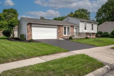 Hilliard City Schools--Columbus taxes! NO HOA!  This meticulous on Raymond Memorial Golf Course in Ohio - for sale on GolfHomes.com, golf home, golf lot