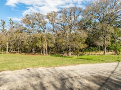 Come and check out this 0.32 acre lot in the coveted White Bluff on White Bluff Resort - New Course in Texas - for sale on GolfHomes.com, golf home, golf lot