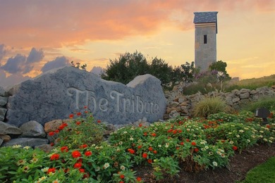 Welcome to resort-style living in The Tribute, a premier on The Tribute At the Colony in Texas - for sale on GolfHomes.com, golf home, golf lot