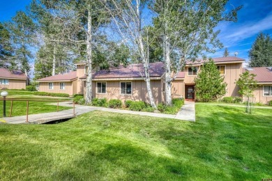 Lauri Heraty, ENGEL  VOLKERS Pagosa Springs, C: , lauri,  : on Pagosa Springs Golf Club in Colorado - for sale on GolfHomes.com, golf home, golf lot