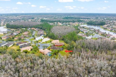 Welcome home to sought after Solivita!  This luxury, 55+ on Stonegate Golf Club in Florida - for sale on GolfHomes.com, golf home, golf lot