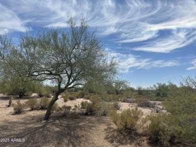 Relatively flat/easy build homesite in Desert Mountain's Village on Desert Mountain Golf Club - Renegade Course in Arizona - for sale on GolfHomes.com, golf home, golf lot