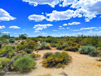 Relatively flat/easy build homesite in Desert Mountain's Village on Desert Mountain Golf Club - Renegade Course in Arizona - for sale on GolfHomes.com, golf home, golf lot