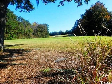 If playing golf, walking the beach, viewing the magnificent on True Blue Plantation in South Carolina - for sale on GolfHomes.com, golf home, golf lot