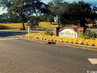If playing golf, walking the beach, viewing the magnificent on True Blue Plantation in South Carolina - for sale on GolfHomes.com, golf home, golf lot