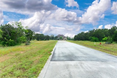 Rare opportunity to own on a premier golf course at The Retreat! on The Retreat in Texas - for sale on GolfHomes.com, golf home, golf lot