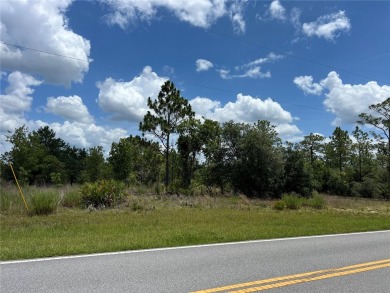 Discover the perfect canvas for your dream home or investment on Citrus Springs Country Club in Florida - for sale on GolfHomes.com, golf home, golf lot