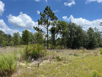Discover the perfect canvas for your dream home or investment on Citrus Springs Country Club in Florida - for sale on GolfHomes.com, golf home, golf lot
