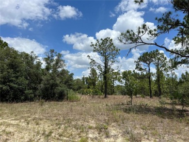 Discover the perfect canvas for your dream home or investment on Citrus Springs Country Club in Florida - for sale on GolfHomes.com, golf home, golf lot