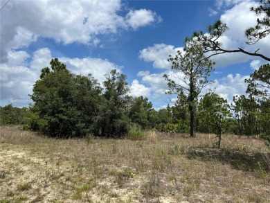 Discover the perfect canvas for your dream home or investment on Citrus Springs Country Club in Florida - for sale on GolfHomes.com, golf home, golf lot