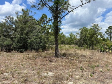 Discover the perfect canvas for your dream home or investment on Citrus Springs Country Club in Florida - for sale on GolfHomes.com, golf home, golf lot