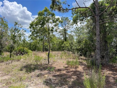 Discover the perfect canvas for your dream home or investment on Citrus Springs Country Club in Florida - for sale on GolfHomes.com, golf home, golf lot