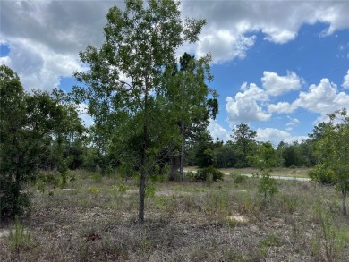 Discover the perfect canvas for your dream home or investment on Citrus Springs Country Club in Florida - for sale on GolfHomes.com, golf home, golf lot