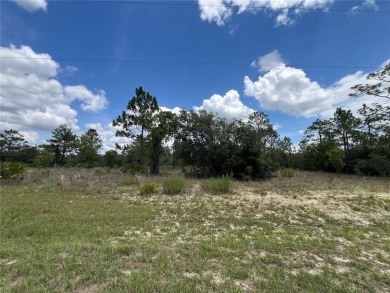 Discover the perfect canvas for your dream home or investment on Citrus Springs Country Club in Florida - for sale on GolfHomes.com, golf home, golf lot