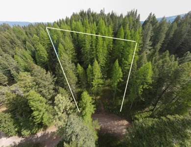 LESS THAN 0.5 MILES to Lake Cascade! Head out from nearby Blue on Cascade Golf Course in Idaho - for sale on GolfHomes.com, golf home, golf lot