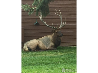 Welcome to this super cute ranch-style condo with 3 bedrooms and on Estes Park Golf Course in Colorado - for sale on GolfHomes.com, golf home, golf lot