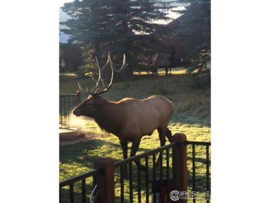 Welcome to this super cute ranch-style condo with 3 bedrooms and on Estes Park Golf Course in Colorado - for sale on GolfHomes.com, golf home, golf lot
