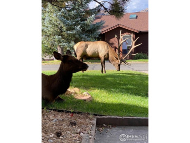 Welcome to this super cute ranch-style condo with 3 bedrooms and on Estes Park Golf Course in Colorado - for sale on GolfHomes.com, golf home, golf lot